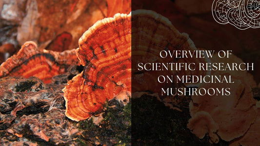 Overview of Scientific Research on Medicinal Mushrooms