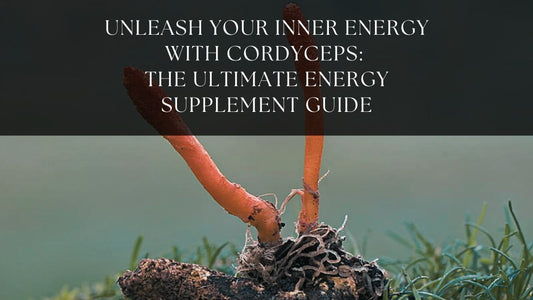 cordyceps energy supplement mrgenki supplement guide benefits