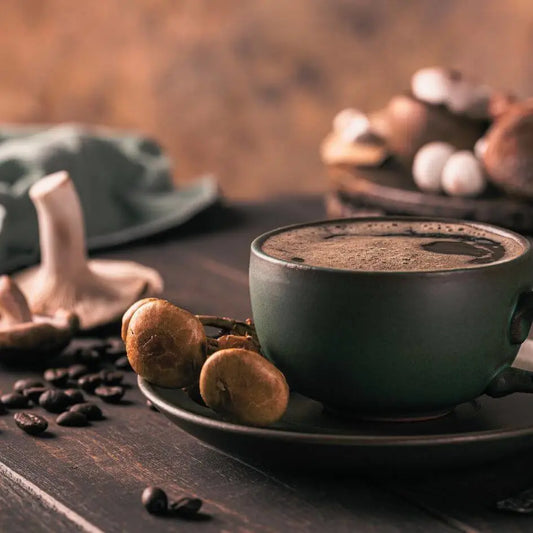 Mushroom Coffee vs. Traditional Coffee: An Overview