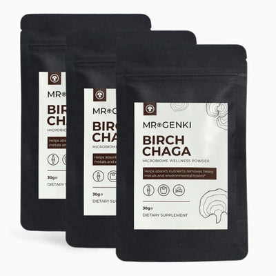 Birch Chaga Mushroom Powder - mrgenki -  - Natural Extracts