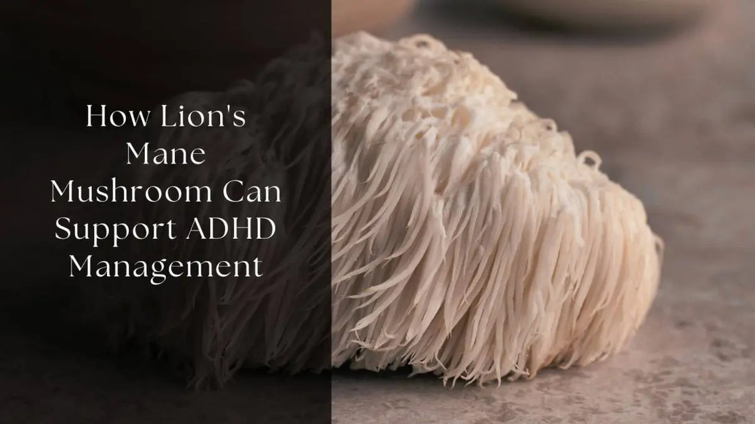 How Lion's Mane Mushroom Can Support ADHD Management
