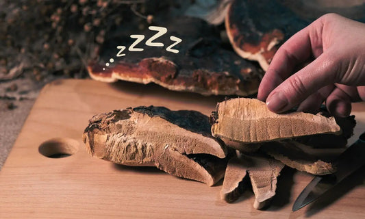 reishi mushroom a natural sleep aid and stress reliever